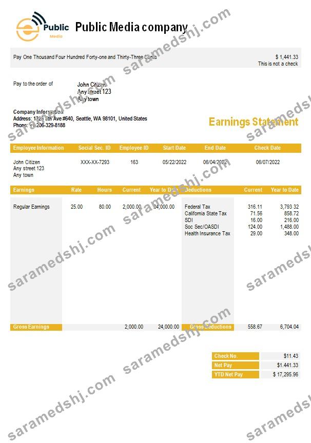 public media company  earning statement in Word and PDF formats